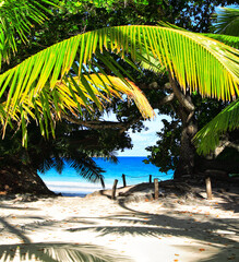 Anse Lazio Beach, Island Praslin, Republic of Seychelles, Africa.