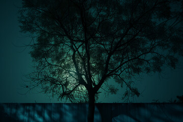 tree in the night.AI generated