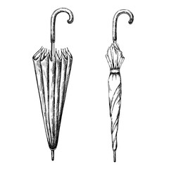 Vintage umbrella isolated on white background vector sketch