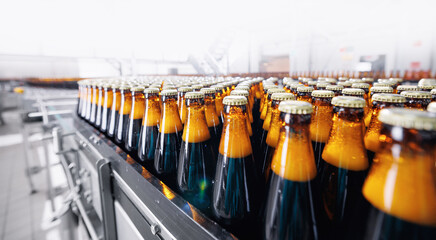 Banner Beer brewery conveyor. Brown glass alcohol bottles move on production line, modern equipment...