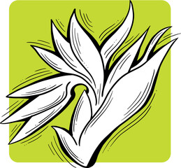 Fototapeta premium Beautiful flowers hand drawing. Decorative vector element for birthday party, wedding invitation, summer holyday mood. Botanical floral, garden theme.