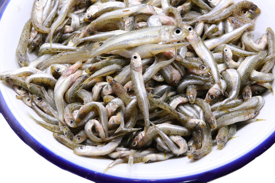 dish with fish called sand smelt of Atherinidae  family are very appreciated in the Italian and mediterranean cuisines