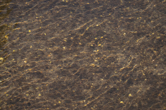 Fondo de agua de un r&iacute;o con guijarros.