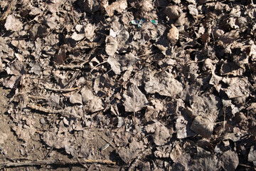 Fondo de camino de tierra con piedras.