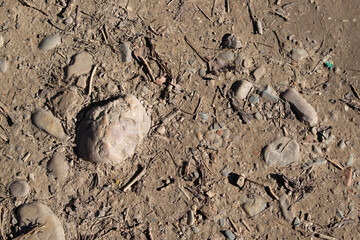 Fondo de camino de tierra con piedras.