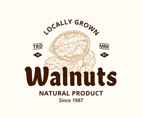 Vector walnut logo design template. Open walnut and kernels