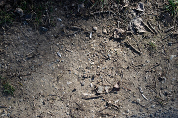 Fondo de camino de tierra con piedras.