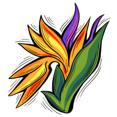 Beautiful flowers hand drawing. Decorative element for birthday party, wedding invitation, summer holyday mood. Botanical floral, garden theme.