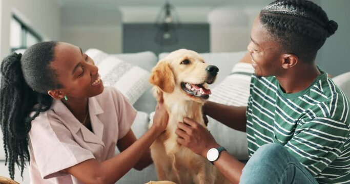Love, happy couple and petting of dog in living room, sofa and care for domestic animal in home. Black people, labrador and playing with cute pet in lounge, touch and bonding together to relax indoor