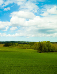 Green fields and hills in Wiezyca, Kashubian Region, Poland.