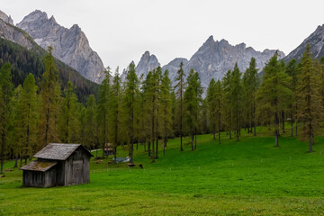 Wooden hut on alpine meadow surrounded by idyllic conifer forest. Scenic view of majestic mountain peaks of Sexten Dolomites, South Tyrol, Italy, Europe. Hiking in panoramic Fischleintal, Italian Alps