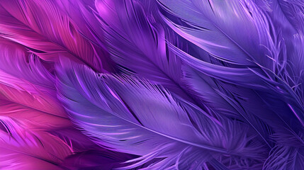 Feather pattern for background and texture. Neon purple texture abstract background. 