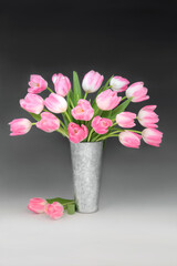 Spring pink tulip flower arrangement in metal vase on gradient black white background. Springtime, Beltane, Mothers Day, Anniversary and Easter floral nature design.