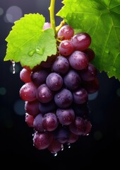 Fototapeta premium Fresh ripe grape, healthy bio fruit food gardening concept. Generative Ai