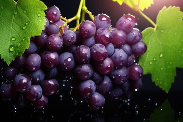 Fototapeta premium Fresh ripe grape, healthy bio fruit food gardening concept. Generative Ai