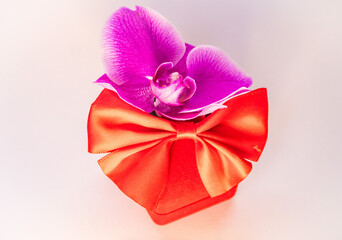 Present red box with red bow with Purple orchid flowers on isolated background