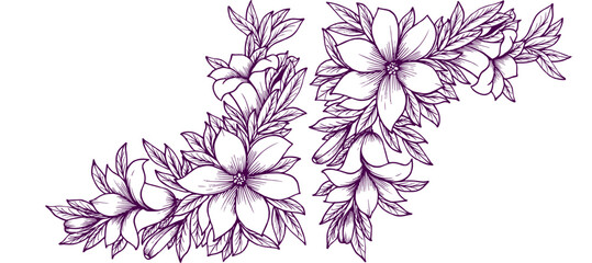 Fototapeta na wymiar violet flower outline blossom decorative design background