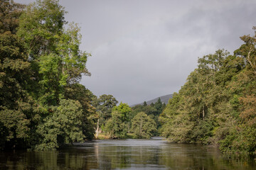 lake and forest