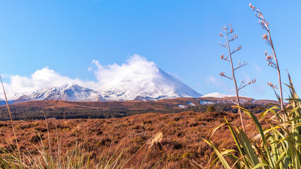 Snow capped volcano, Tongariro National Park, New Zealand