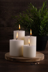 photo, candle, candlelight, burning, plant, flame, decoration, wax, background, celebration, photography, relaxation, glowing, night, light, table, religion, bright, spa, church, romantic, romance