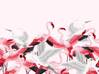 Border with pink flamingos and white herons. Vector.