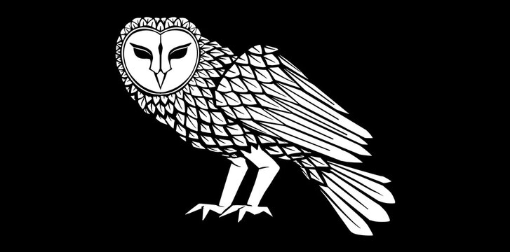 Cartoon Owl Isolated On Black Background, Drawing Style Owl Bird Vector Illustration.	