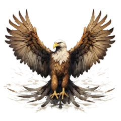 Zelfklevend Fotobehang american bald eagle © Buse