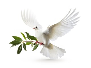 Obraz premium Dove Carrying an Olive Branch Peace and Harmony Isolated on White Background AI Generated