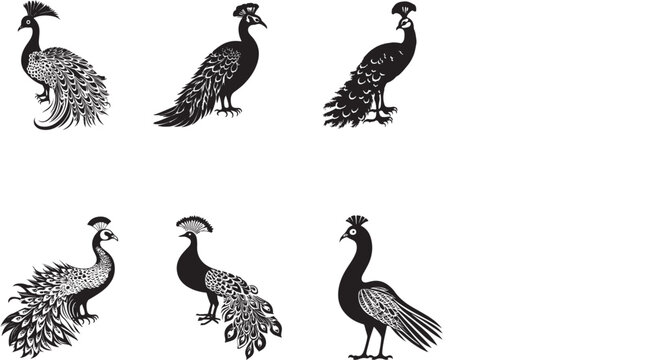 peacock silhouette image vector file All.eps