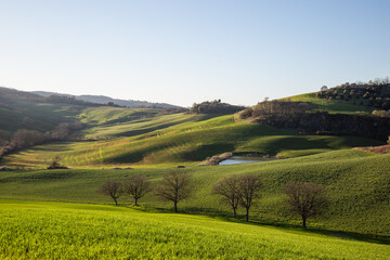 Fototapeta na wymiar Beautiful Tuscany landscape in spring time with wave green hills and isolated trees. Tuscany, Italy, Europe