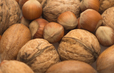 walnut closeup selective focus