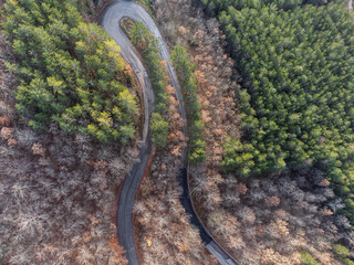 Top-down view of an hairpin bend in the middle of a forest with green and orange trees - 728088487