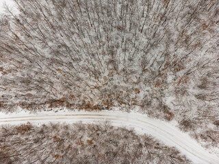 Top view of a winter forest. with a road in the middle of trees - 728088898