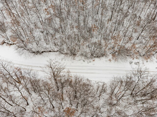 Top view of a winter forest. with a road in the middle of trees - 728089235