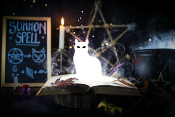 Glowing, shining cat figure, rising from a book in a magical still life with a blackboard and a cauldron. Witchcraft, patronus background. 