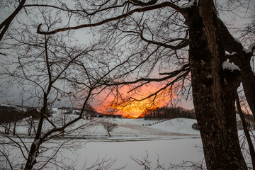 Winter landscape, with trees and hill covered by snow and warm, orange sunset sky - 728090403