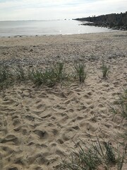 summer sea good vibe