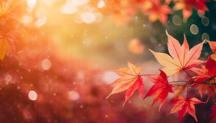 web banner design for autumn season and end year activity with red and yellow maple leaves with soft focus light and bokeh background