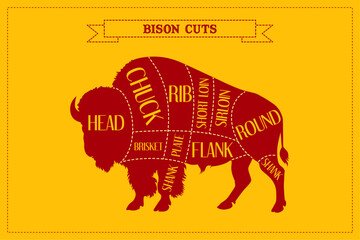 Cuts of Bison. Butcher Diagram, scheme, chart.