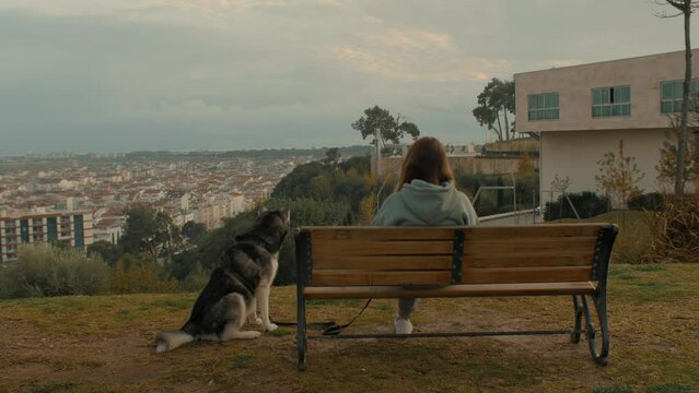 Woman with Husky dog sitting on wooden bench at autumn park contemplate city sea landscape back view