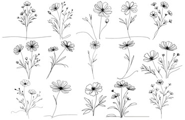 Continuous line flowers..Vector hand drawn ink Sketch. Doodle style