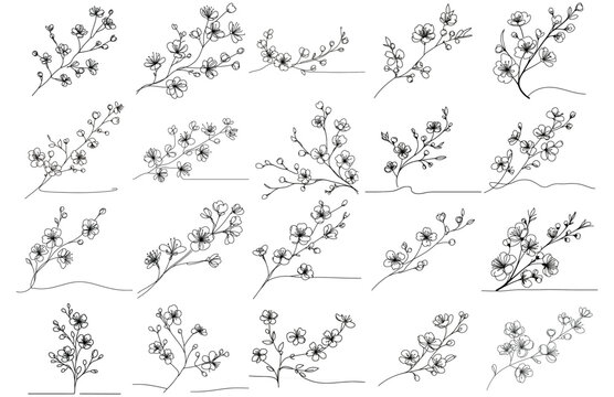 Continuous line cherry flowers..Vector hand drawn ink Sketch. Doodle style