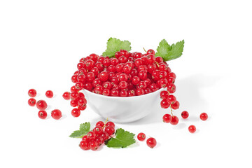 Red currant berry isolated on white background