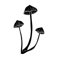 Silhouette, stencil of toadstool mushrooms.Vector graphics.