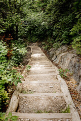 Treppe durch den Wald in den Bergen der Great Smoky Mountains