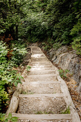 Fototapeta na wymiar Treppe durch den Wald in den Bergen der Great Smoky Mountains