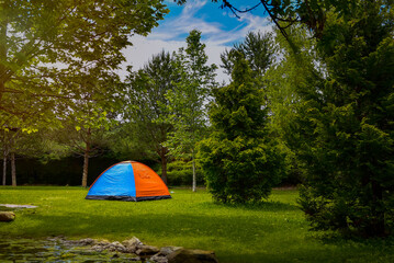 orange camping tent among the trees in the green forest