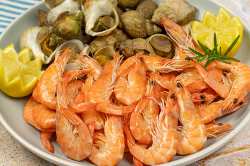 assiette de crevettes et bulots, en gros plan