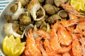 assiette de crevettes et bulots, en gros plan