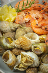 assiette de crevettes et bulots, en gros plan